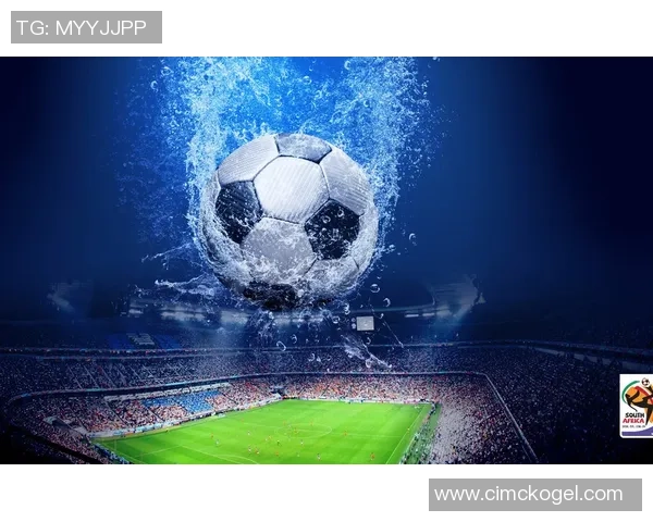 足球天才小海豚闪耀球场动感瞬间高清壁纸展示